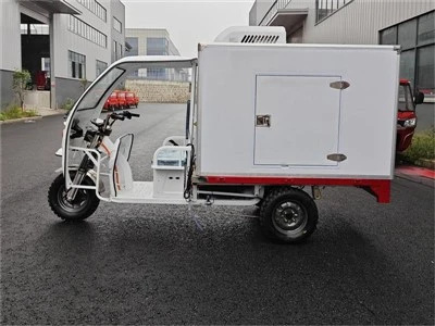 Xe tải ba bánh trong tủ lạnh